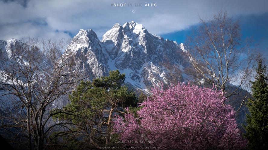 My view of the real world: 'Zugspitze in spring'