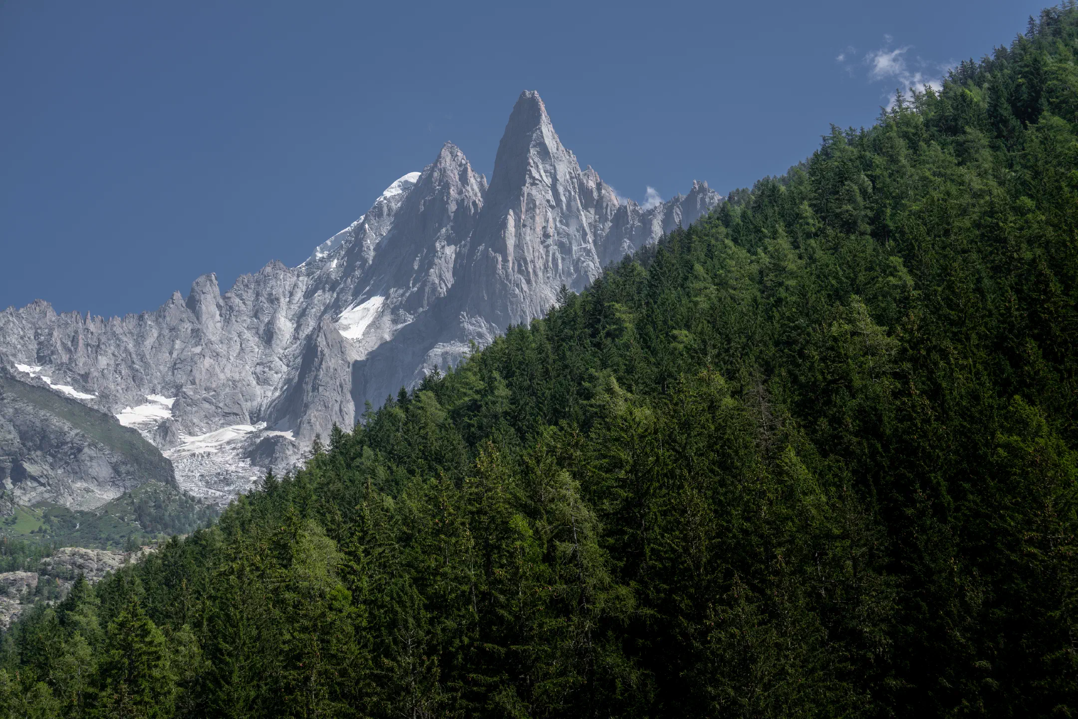 Aiguille Verte