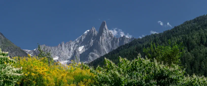 Aiguille Verte