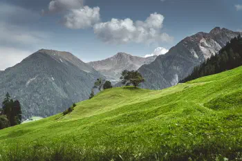 Meadows in Passer valley, South Tyrol