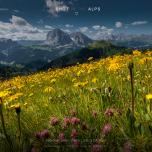 Flower meadow at Seceda-Alm