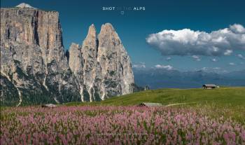 Seiser Alm flower meadow