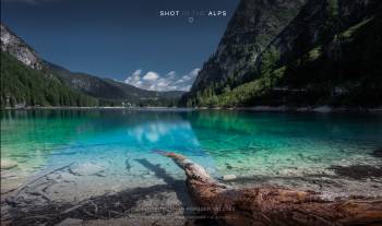 Tree trunk in Pragser Wildsee