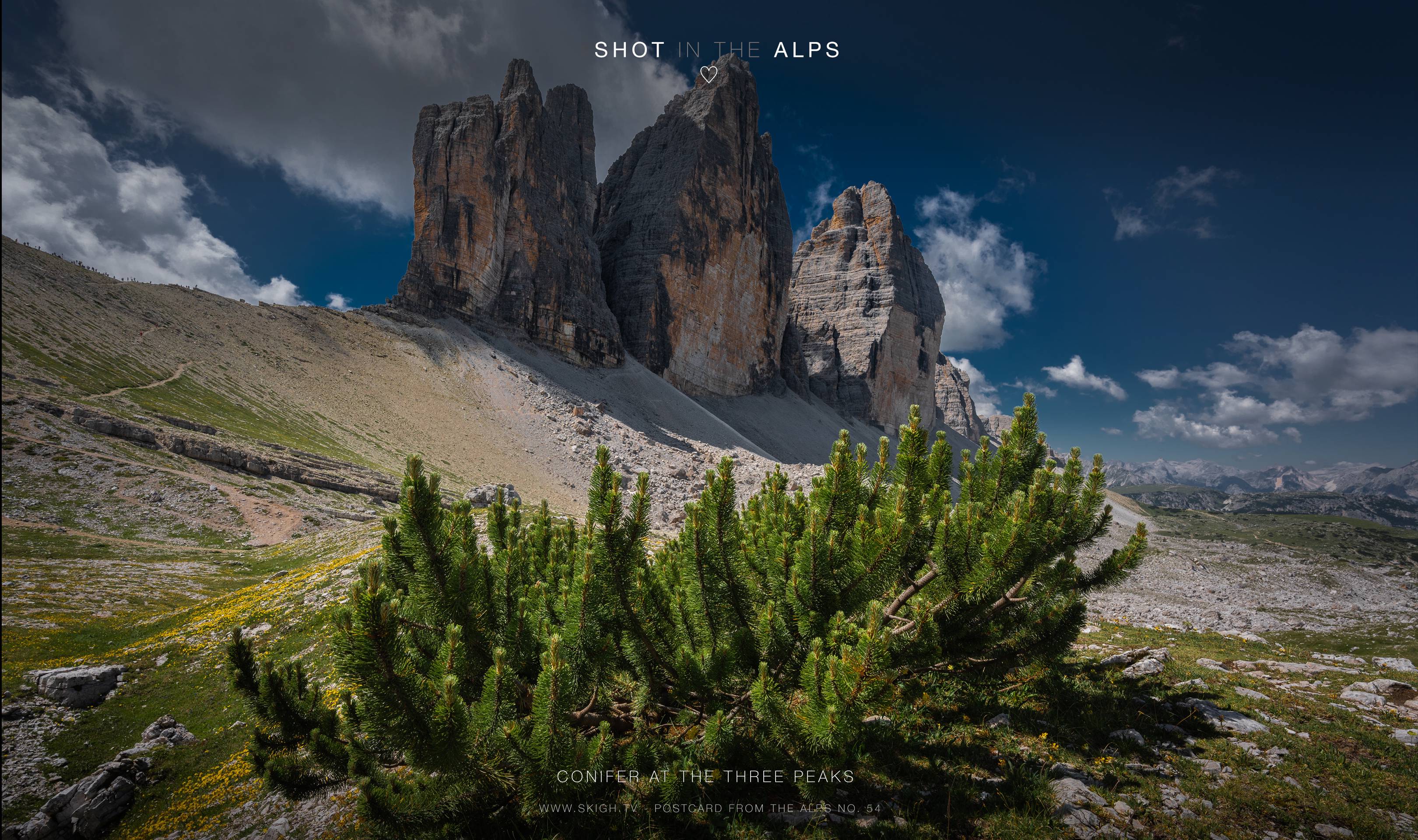 Conifer at the three peaks | 1/250s * f11 * ISO 160 * 15mm - 14-24mm F2.8 DG DN | Art 019 - Sony α7 IV Conifer at the three peaks