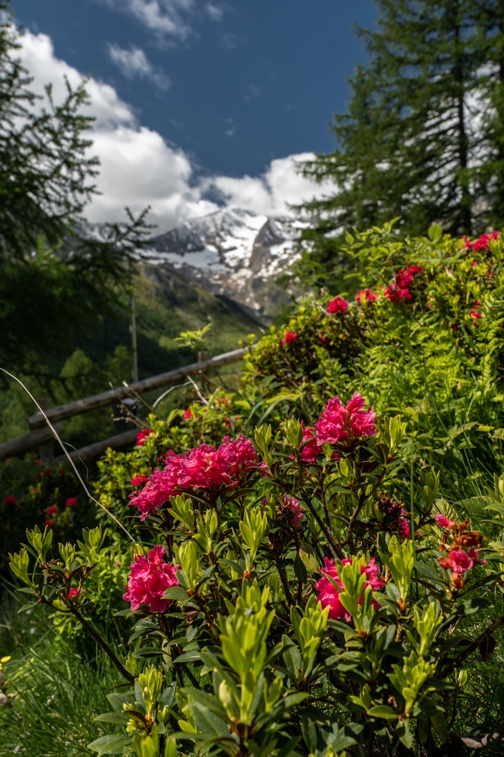 Hike to Seeber Alm