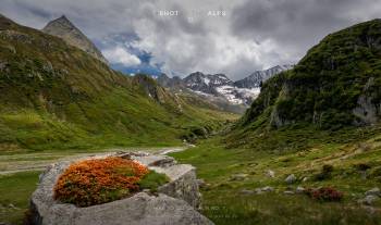 Hike to Seeber Alm No. 7