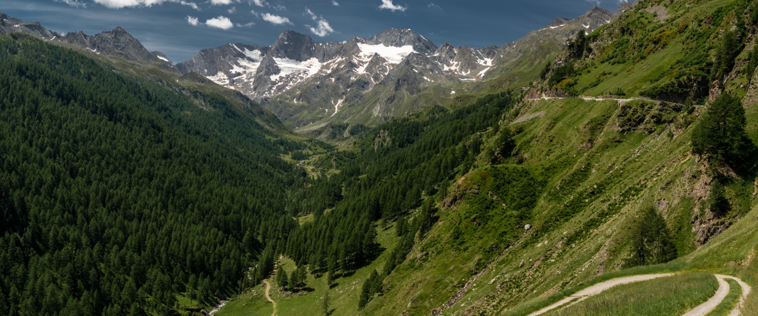 Seeber Alm and Liebenerspitze