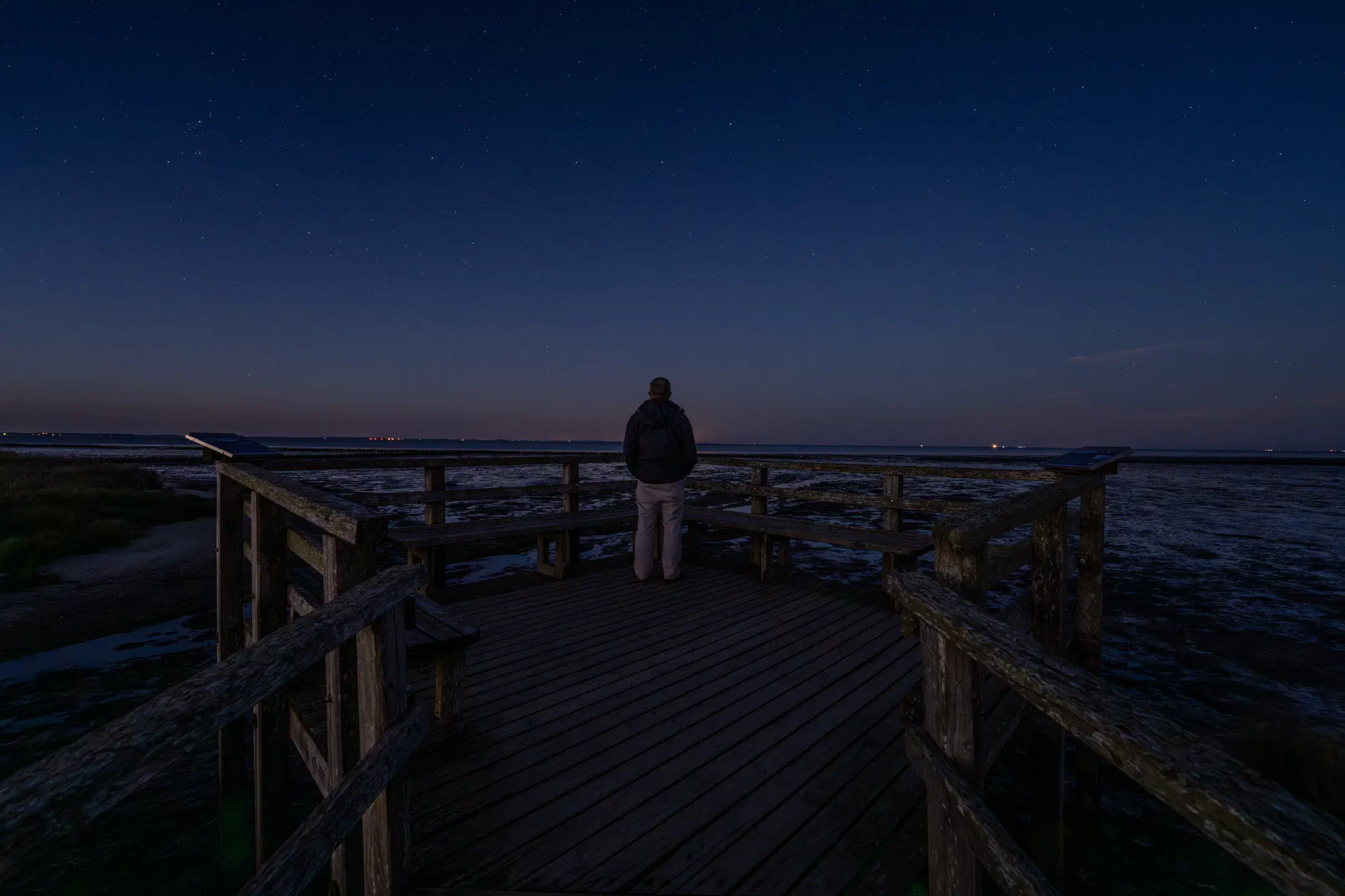 Wadden Sea Selfie