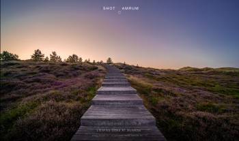 Viewing dune at sunrise