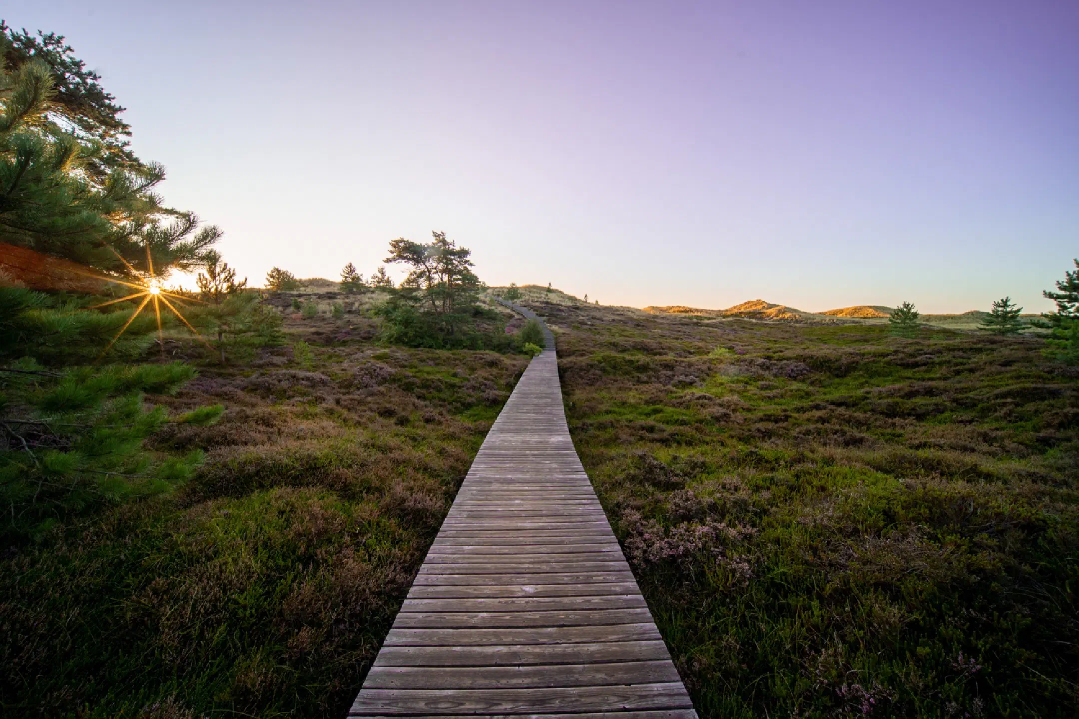 Viewing dune at sunrise