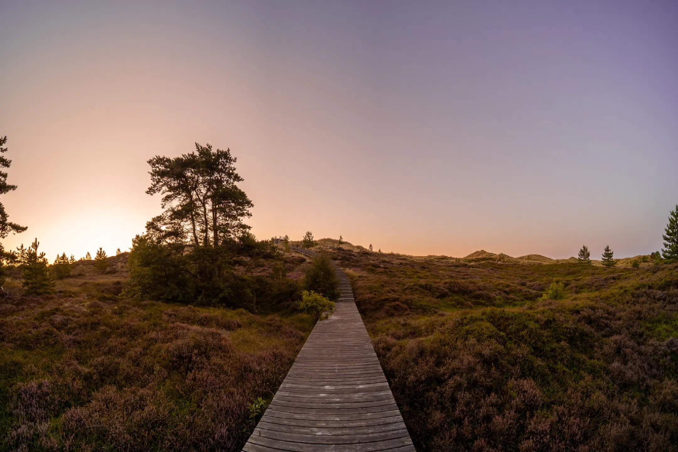 Viewing dune at sunrise