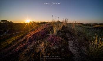 Sunrise in the dunes | 1/60s * -- * ISO 250 * -- - Laowa 10-18mm F4.5-5.6 FE - Sony α7 III Sunrise in the dunes