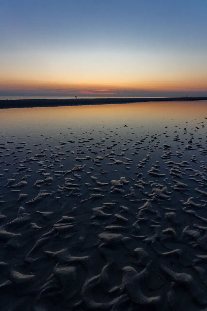 Seabed at low tide after sunset