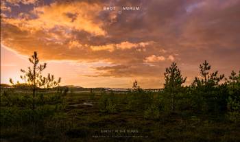 Sunset in the Dunes