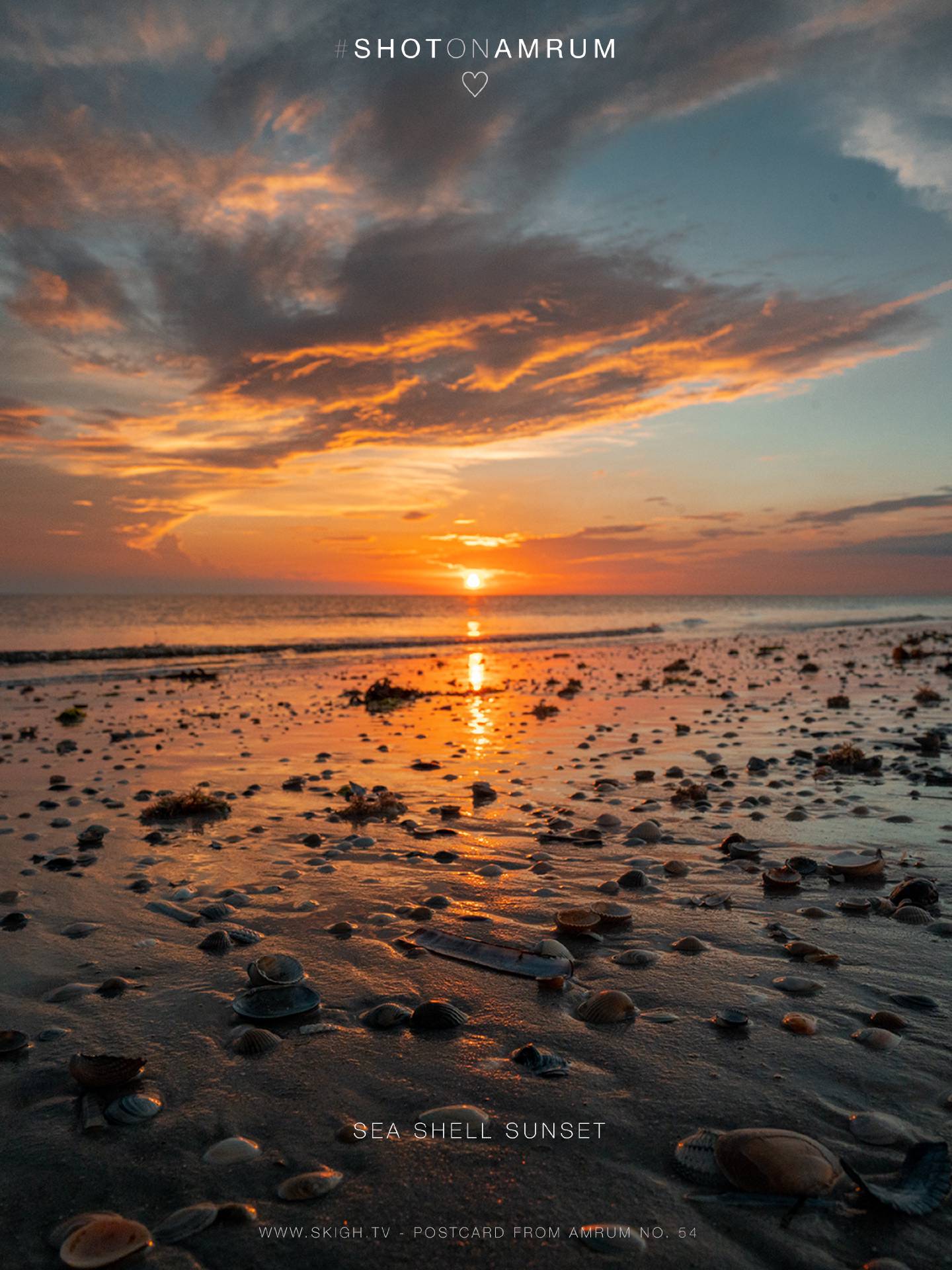 Sea Shell Sunset