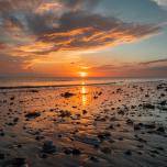 Sea Shell Sunset