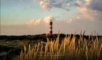 Amrum Lighthouse in Evening Sun