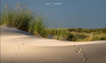 Footprints in the sand | 1/1000s * f5 * ISO 100 * 98mm - FE 70-300mm F4.5-5.6 G OSS - Sony α7R III Footprints in the sand