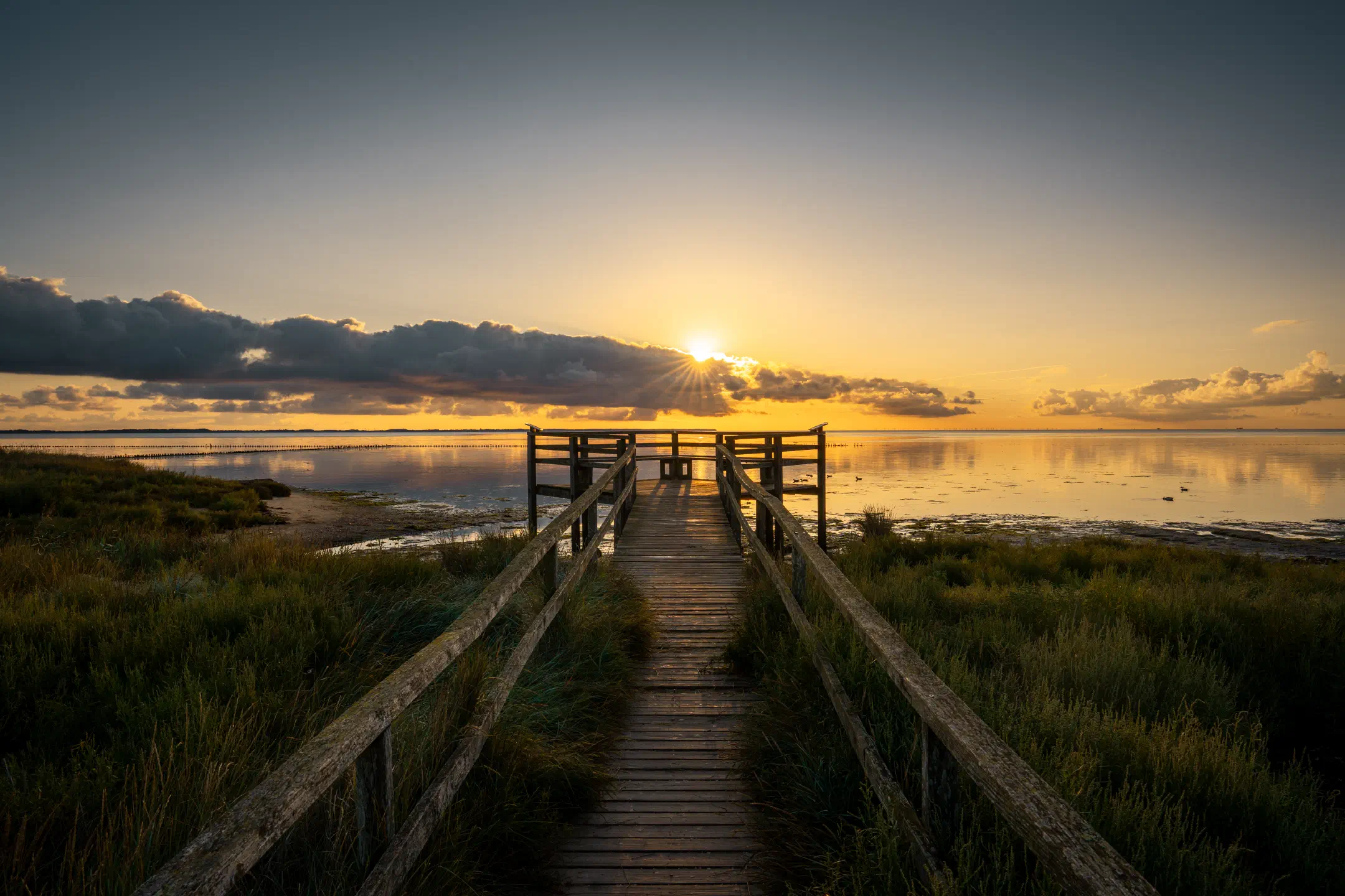 Wadden Sea Morning