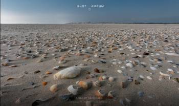 A Sea of Seashells | 1/800s * f14 * ISO 640 * 14mm - 14-24mm F2.8 DG DN | Art 019 - Sony α7R II A Sea of Seashells
