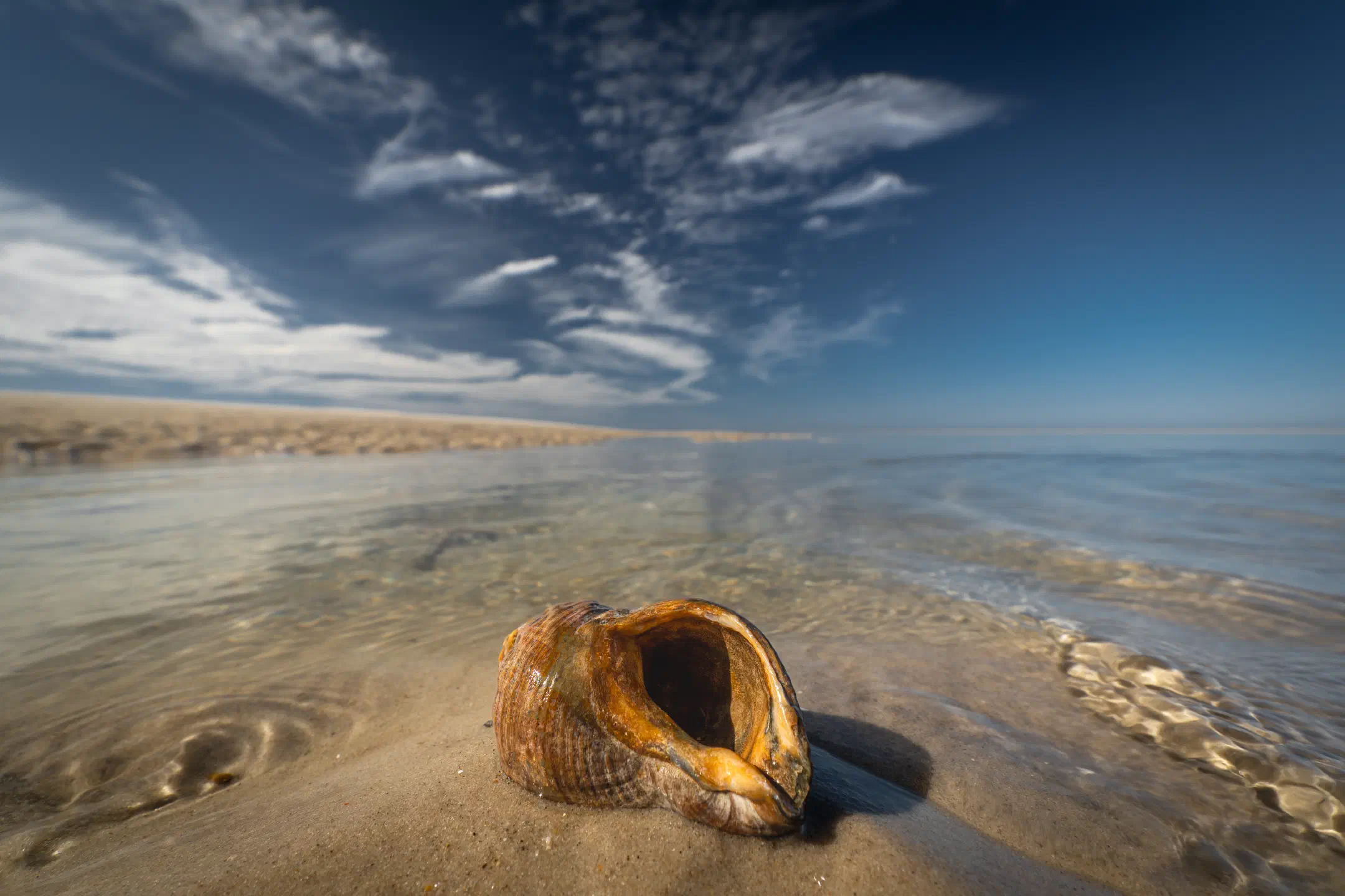 The North Sea, Caribbean-style