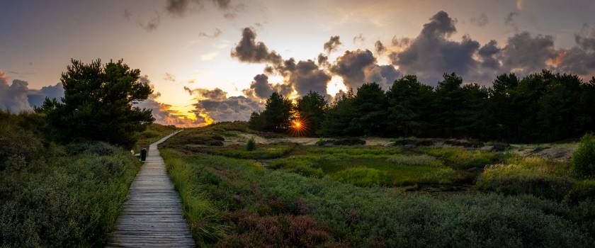 Wooden path through the dunes | 1/250s * f13 * ISO 6400 * 24mm - FE 24mm F1.4 GM - Sony α7 IV Wooden path through the dunes