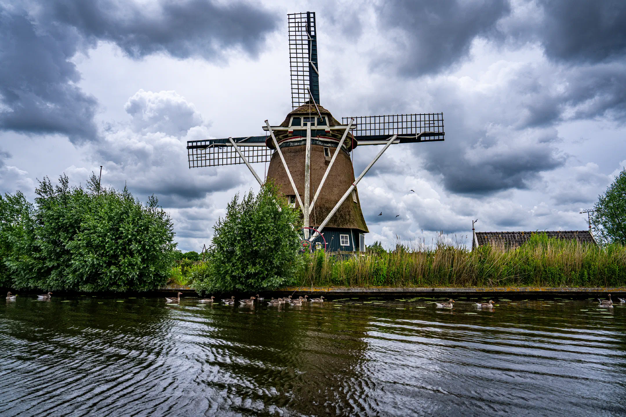 Vijfhuizer Molen, Haarlem | 1/2000s * f3.2 * ISO 100 * 24mm - FE 24-70mm F2.8 GM II - ILCE-7M5 Vijfhuizer Molen, Haarlem