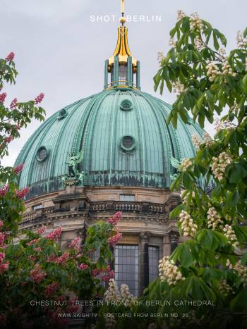 Chestnut trees in front of Berlin Cathedral