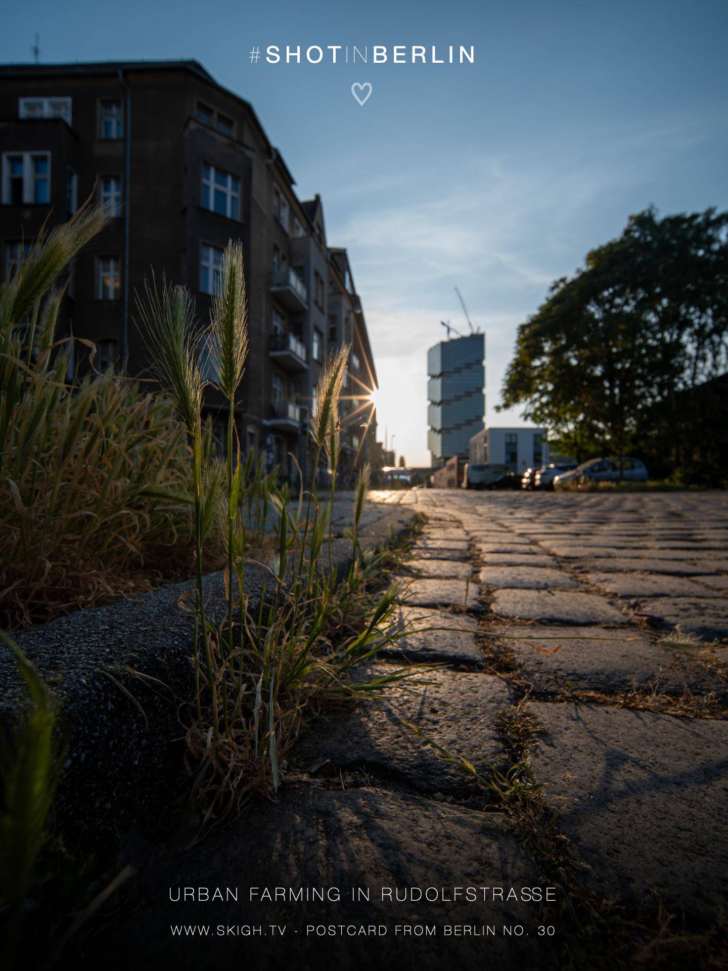 Urban Farming in Rudolfstraße | 1/125s * -- * ISO 125 * -- - Laowa 10-18mm F4.5-5.6 FE - Sony α7 IV Urban Farming in Rudolfstraße