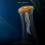 True jellyfish