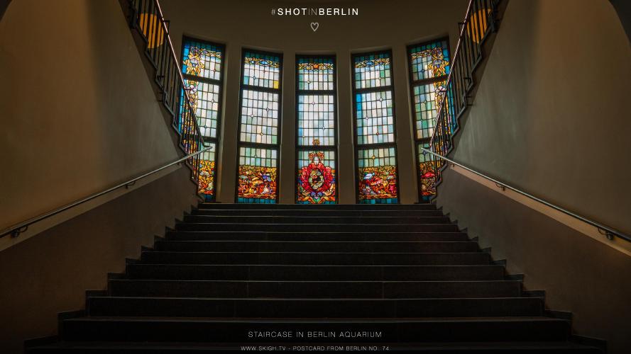 My view of the real world: 'Staircase in Berlin Aquarium'