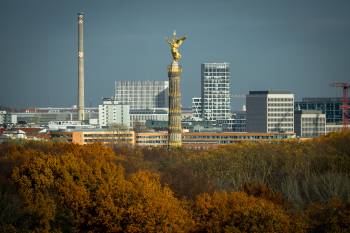 Goldelse | 1/1000s * f5.6 * ISO 200 * 300mm - FE 70-300mm F4.5-5.6 G OSS - Sony α7R V Goldelse