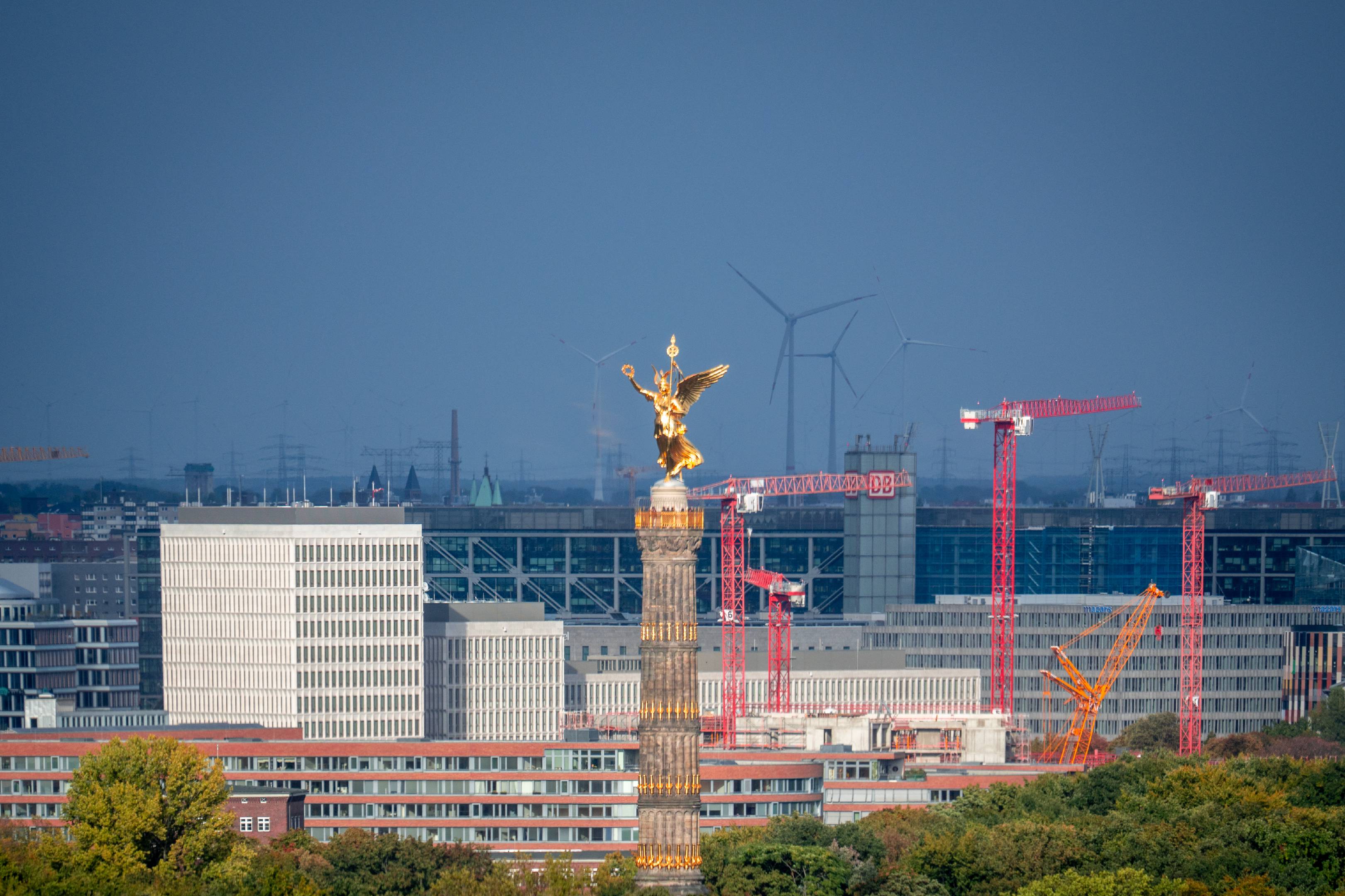 Goldelse | 1/320s * f5.6 * ISO 160 * 300mm - FE 70-300mm F4.5-5.6 G OSS - Sony α6700 Goldelse