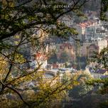 View of Karlovy Vary from the forest
