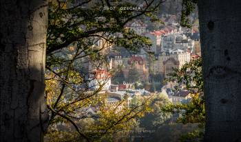 View of Karlovy Vary from the forest