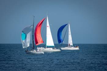 „Reggatta de Bleu, Blanc, Rouge“