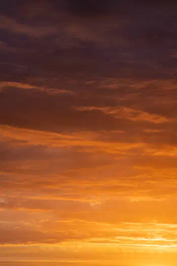 Golden Canvas of Dusk