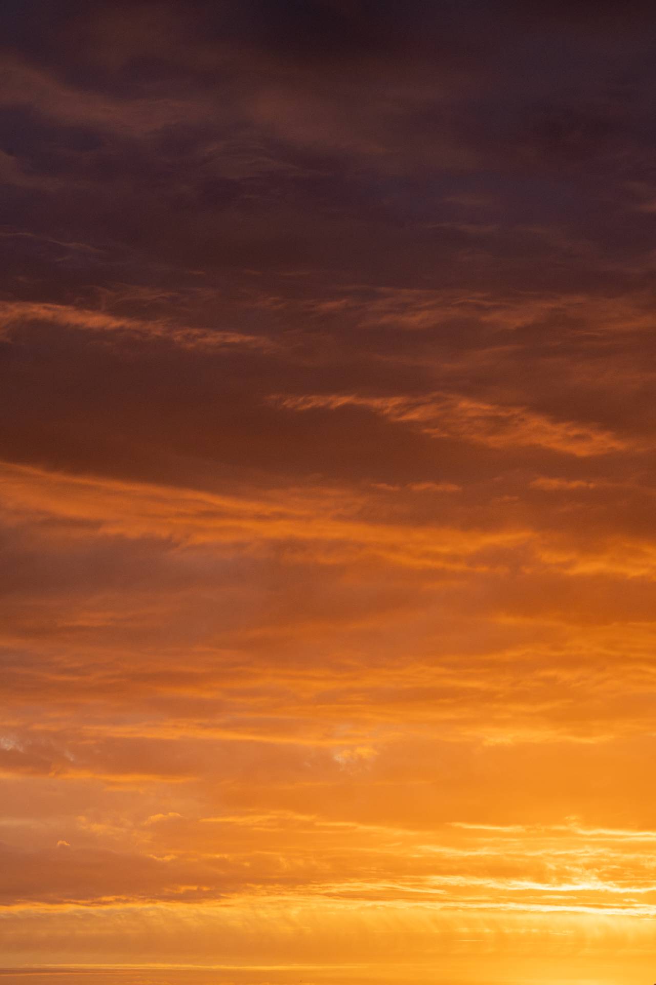 Golden Canvas of Dusk