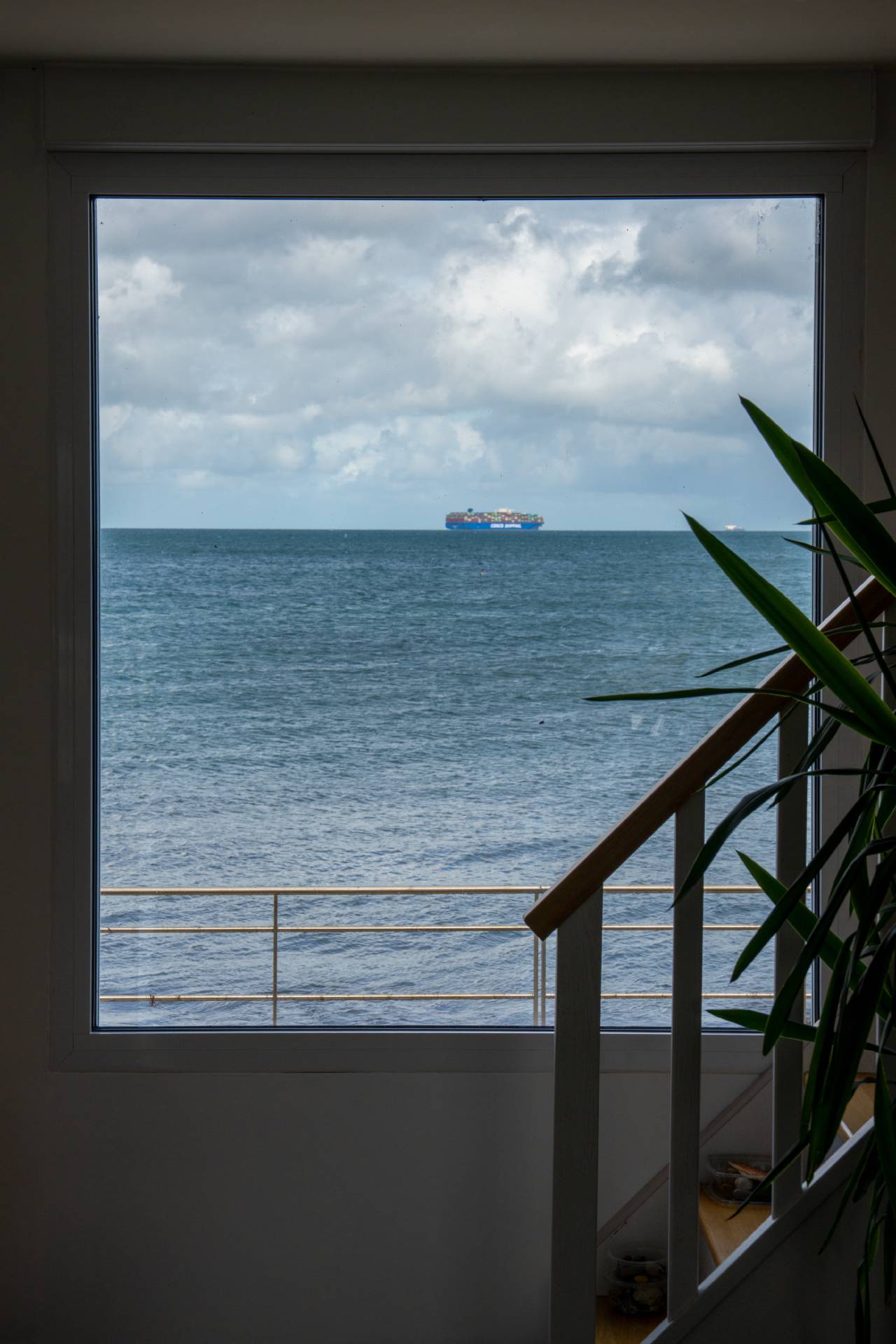 Framed | 1/125s * f13 * ISO 160 * 70mm - FE 24-70mm F2.8 GM II - Sony α7R V Framed