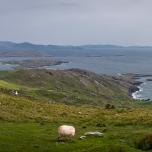 Ring of Kerry