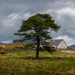 Crocknafeola Forest, Northern Ireland