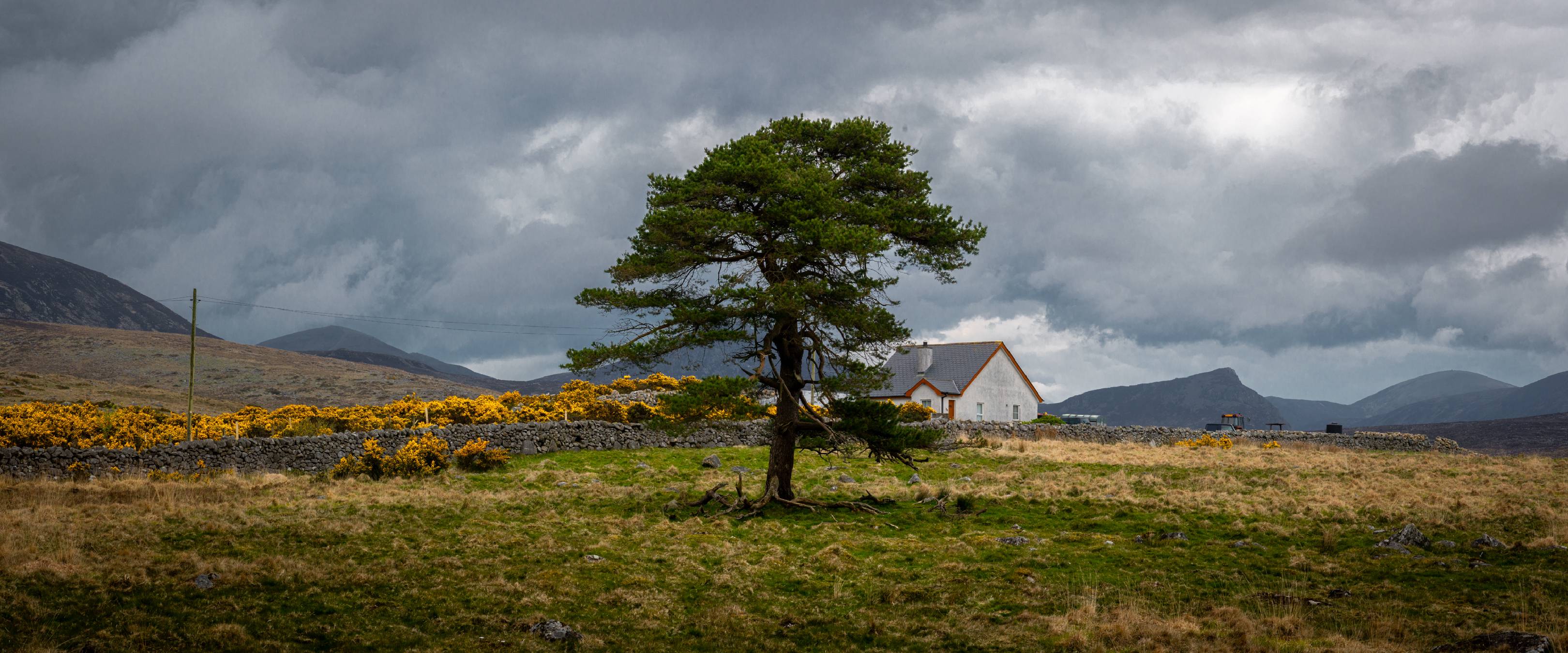 Crocknafeola Forest, Northern Ireland