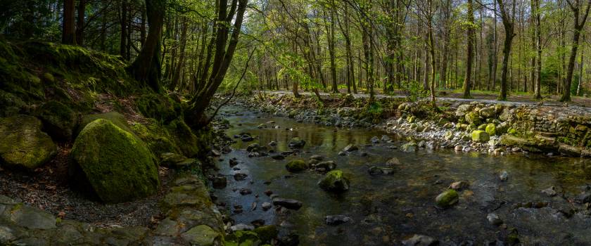 Tollymore Forest Park, Northern Ireland