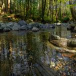 Tollymore Forest Park, Northern Ireland