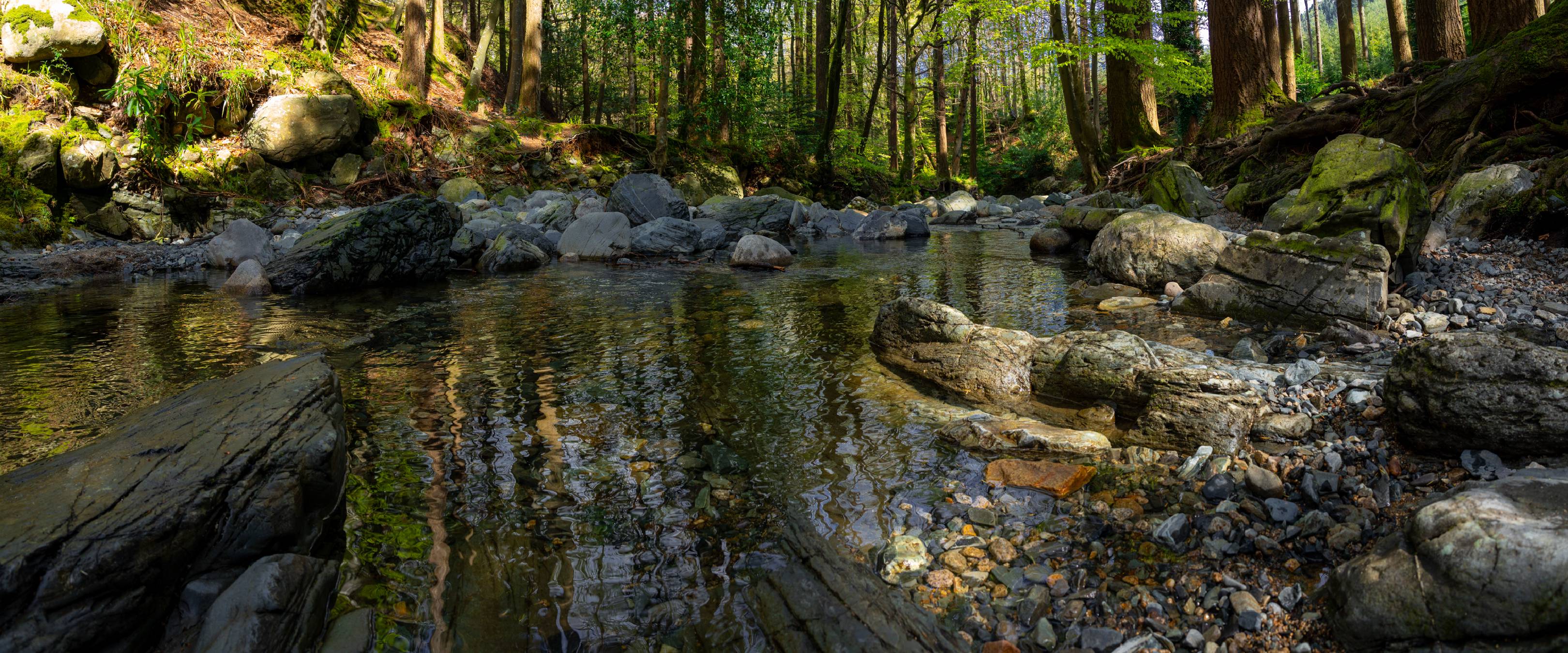 Tollymore Forest Park, Northern Ireland