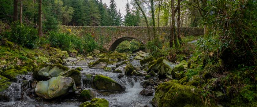 Tollymore Forest Park, Northern Ireland