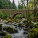 Tollymore Forest Park, Northern Ireland