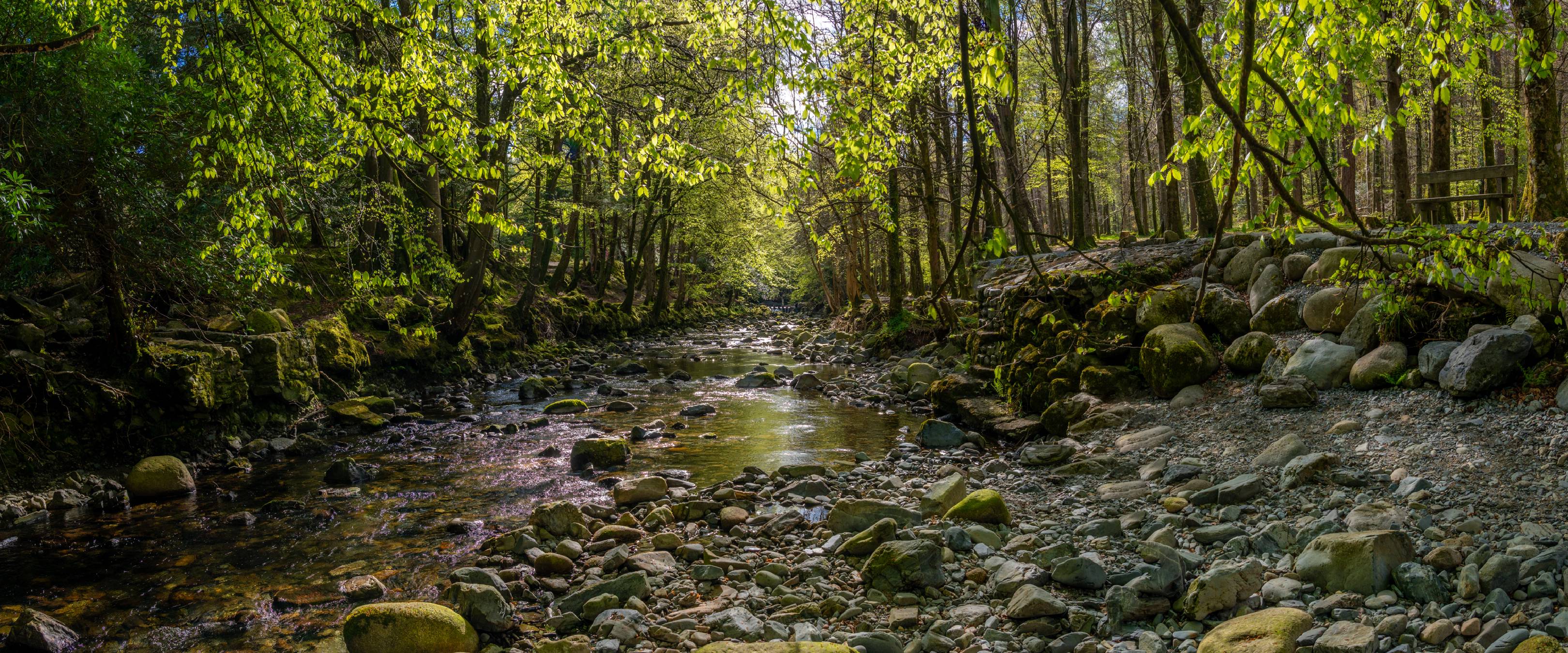 Tollymore Forest Park, Northern Ireland