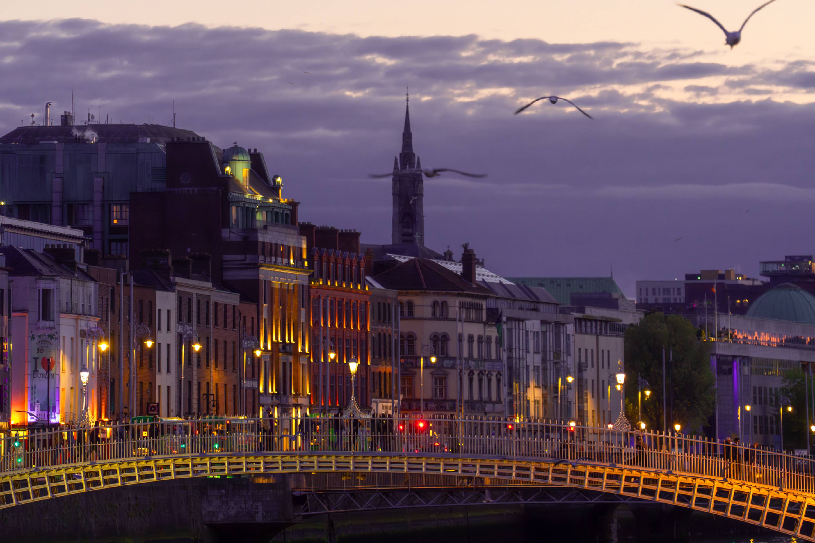 Millenium Bridge, Dublin