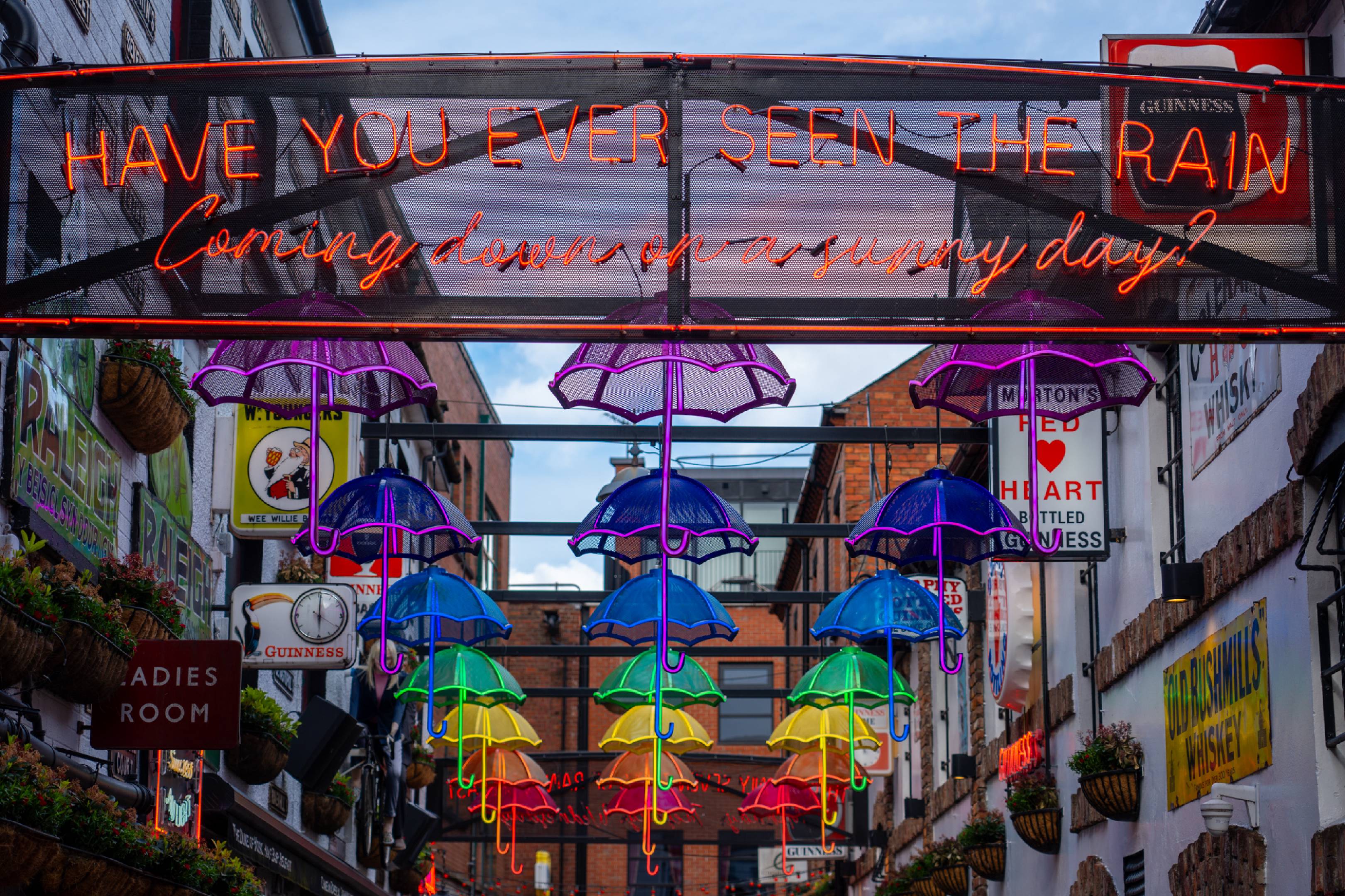 Umbrellas Street, Cathedral Quarter, Belfast